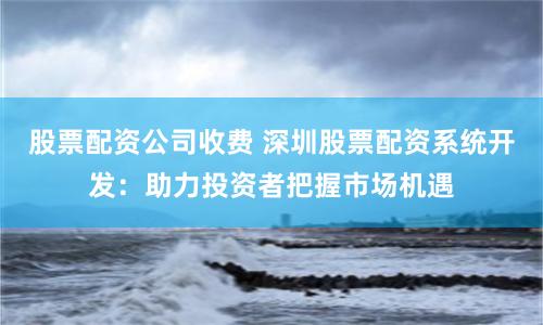 股票配资公司收费 深圳股票配资系统开发：助力投资者把握市场机遇