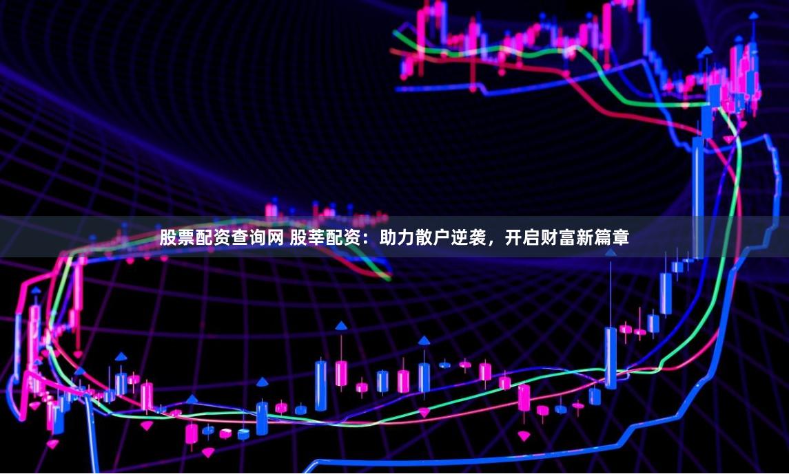 股票配资查询网 股莘配资：助力散户逆袭，开启财富新篇章