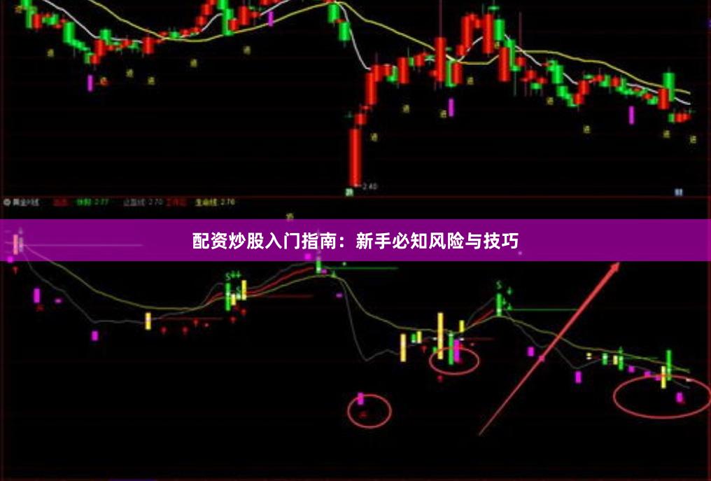 配资炒股入门指南：新手必知风险与技巧