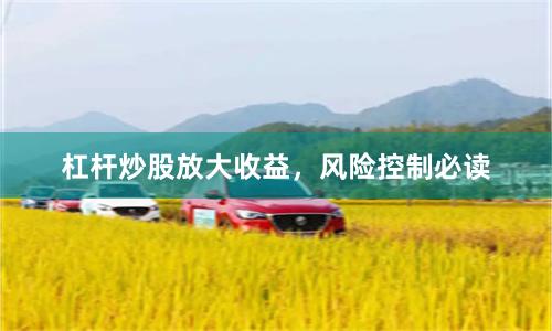 杠杆炒股放大收益，风险控制必读