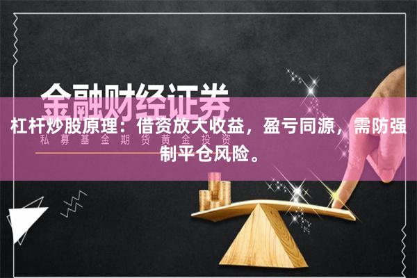 杠杆炒股原理：借资放大收益，盈亏同源，需防强制平仓风险。